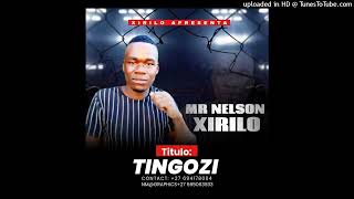 Mr Nelson Xirilo  Tingozi 2024 Prod By Xakandzela Ngoma [upl. by Aicirtam]