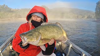 Murray Cod Madness  Spinwright Spinnerbait Smackdown [upl. by Rendrag]