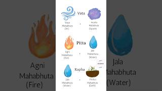 Tridosha and Panchamahabhut Vata Space  Air 🌌🌬️Pitta Fire  Water 🔥💧Kapha Earth  Water 🌎💧 [upl. by Ytsrik]