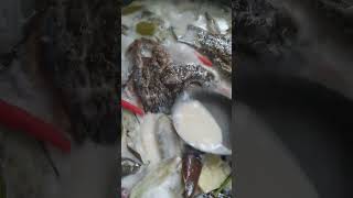 Ginataan na tilapia with kamias sarap kaayo [upl. by Adamis]