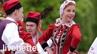 Polka music czech austrian and german folk instrumental songs  european rhythms [upl. by Seagraves]