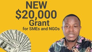 How To Apply and Win 20000 Grant For SMEs and NGOs [upl. by Floyd]