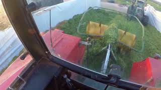 Grassilage  Silo walzen  verteilen  Steyr Fendt  Cabview  Uncut  GoPro [upl. by Lovering]