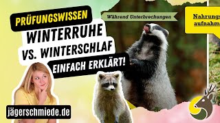 Was ist der Unterschied zwischen Winterruhe und Winterschlaf Wissen für die Jagdausbildung [upl. by Ohcamac238]