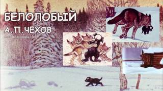 Белолобый АПЧехов Аудио книга Anton Chekhov Audiobook Belolobiy [upl. by Ylle]