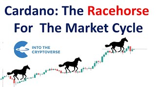 Cardano The Racehorse For The Market Cycle [upl. by Uoliram]