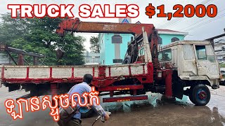 Truck Grane for Sale [upl. by Kcirdot616]