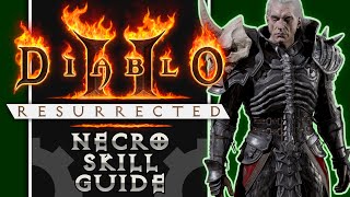 The Complete Guide to Necromancer Skills in Diablo 2 [upl. by Lavona]