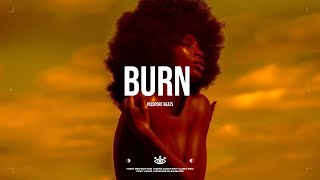 FREE Wizkid Type Beat  “BURN”  Burna Boy Type Beat [upl. by Tenom]