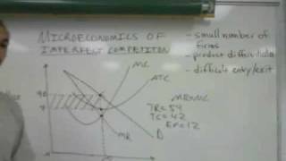 Microeconomics of Imperfect Competition part 2 [upl. by Enirehs]