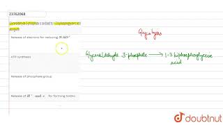 Glyceraldehyde 3phosphate is oxidised to 13 biphosphoglyceric acid alongwith [upl. by Rahas]