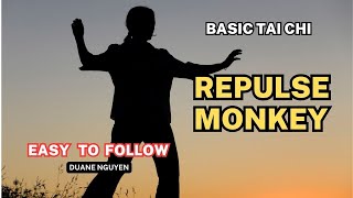 Repulse Monkey  Tai Chi for Beginners [upl. by Lowney]