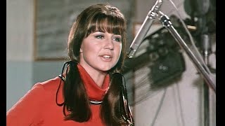 The Seekers  Ill Never Find Another You HQ Stereo 196468 [upl. by Apple]