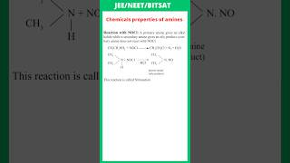 Reaction with NOCl  Chemical Properties of Amines  JEE  NEET  BITSAT [upl. by Einiffit]