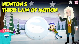 Newtons 3rd Law of Motion  Action and Reaction Forces with Examples  Physics Laws  Dr Binocs [upl. by Melia]