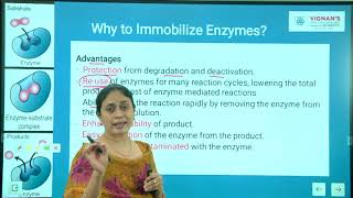 Enzyme immobilization Unit 4 Lecture 1 [upl. by Nangatrad]