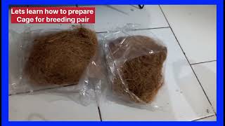 Lets learn how to prepare Cage for your breeding pair [upl. by Valera]