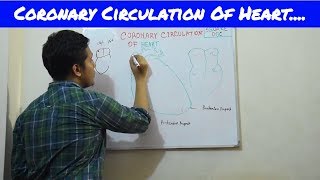 Coronary circulation made easy HD in bangla [upl. by Neona]