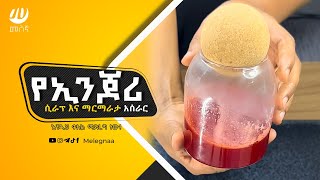 Strawberry Syrup and Jam Recipe ማርማራታ [upl. by Yliram]