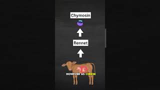 Is Cheese quotTaintedquot with GMOs Debunking Viral Myths About Cheese Production and Health Risks gmo [upl. by Philan]