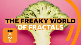 How fractals can help you understand the universe  BBC Ideas [upl. by Redleh]