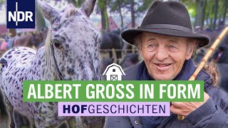 Feilschen für ein außergewöhnliches Pferd  Hofgeschichten 157  NDR auf’m Land [upl. by Yelserp618]