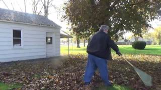 Raking Autumn Leaves [upl. by Anaek617]