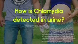 Are urine test for chlamydia accurate  How is Chlamydia detected in urine [upl. by Lona598]