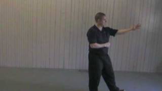 24 Form Tai Chi  Lesson 8  Repulse the Monkey [upl. by Willcox]