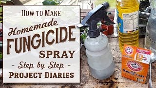 ★ How to Make Cheap Homemade Fungicide Complete Step by Step Guide [upl. by Anes529]