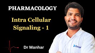 Intra Cellular Signaling 1  G Stimulatory System  G Inhibitory System  Pharmacology  Medico [upl. by Russ337]