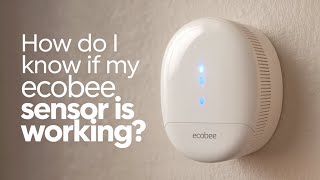 How do i know if my Ecobee Sensor is working ecobee technologyhacks [upl. by Decrem]