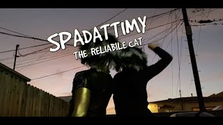 SPADATTIMY THE RELIABLE CAT [upl. by Cara]