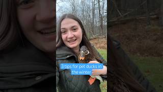 Did you know my ducks like to play in snow 🦆 ❄️ DunkinDucks Ducks Farm Winter Pets Animals [upl. by Ahsikam]