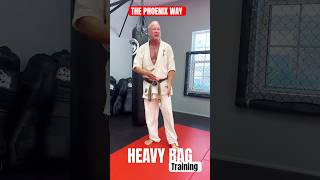 Kyokushin Karate Heavy Bag Training with Shihan Anthony Codispoti of The Phoenix Way Dojo karate [upl. by Valentin]