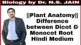 Difference between Dicot amp Monocot Root Plant Anatomy  Hindi Medium [upl. by Sandie688]