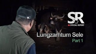 SR  Lungzarhtum Sele Part 12 3132017 [upl. by Jaeger]