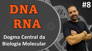 Ácidos Nucleicos  DNA e RNA  Fluxo da informação genética [upl. by Devora]