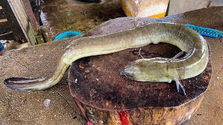 Wow Long Eel Fish Skinning amp Cutting Skills In Village Fish Market  Sri Lanka Fish Cutting Skills [upl. by Alyahsal]