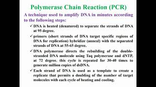 PCR Definition [upl. by Annayar983]