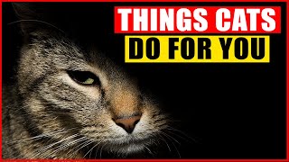 16 Things Your Cats Do for You Without You Knowing [upl. by Georglana]