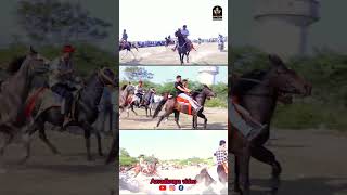 Horse Race  હોર્સ રેસ short shorts shortsfeed [upl. by Sone]