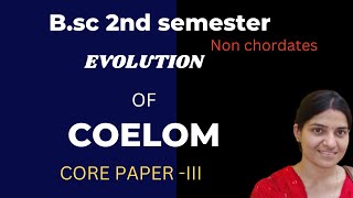 Evolution of coelom BSc 1st yearEvolution of coelom and metamerism BSc zoology gnb zoology [upl. by Aneehsyt]