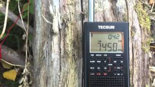 Tecsun PL360 test telescopic antenna versus 90 metre longwire [upl. by Annehs]