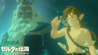 世界が絶賛した史上最高の神ゲー『 ゼルダの伝説 ブレス オブ ザ ワイルド 』3 [upl. by Aromas]