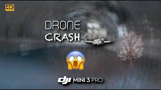 Disastro Drone precipita scontrandosi contro un albero  DJI MINI 3 PRO dr drone crash dronepilot [upl. by Kacie79]