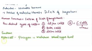 Describe the structure and function of islets of Langerhans  CLASS 10  CONTROL AND COORDINAT [upl. by Annayt]