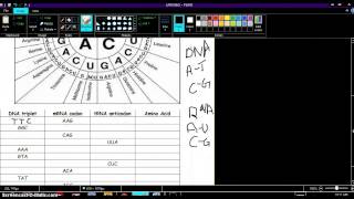 Codon Worksheet [upl. by Odnalref41]