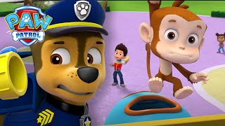 Los cachorros intentan atrapar a un mono muy tonto  PAW Patrol Episodio Español [upl. by Marilou]