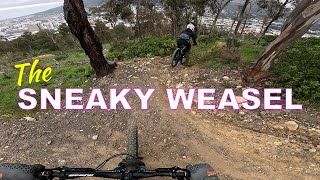 SNEAKY WEASEL  CAPE TOWN CITY BOWL MTB TRAILS [upl. by Rodablas]